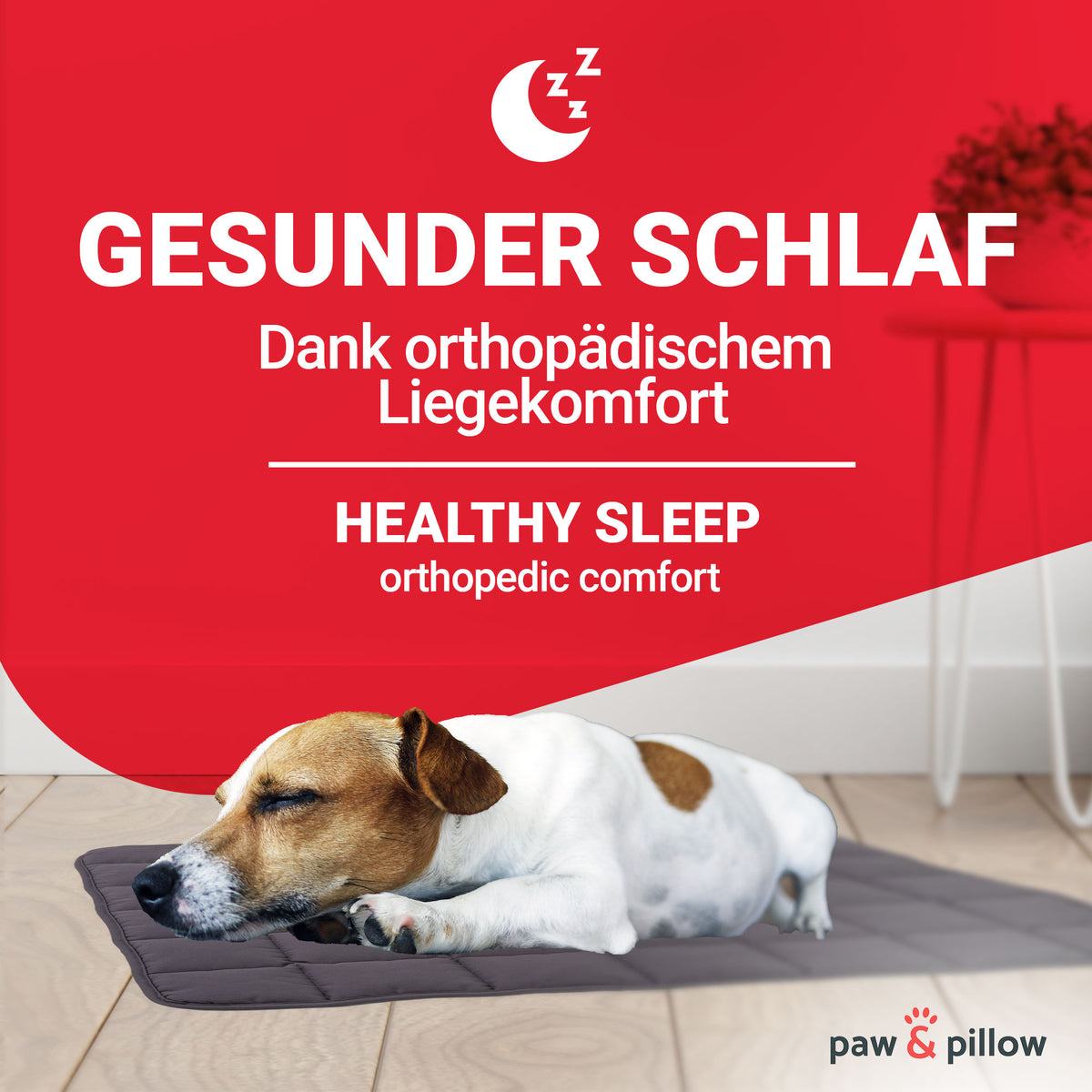 Paw & Pillow Hundedecke - #farbe_